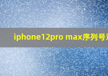 iphone12pro max序列号意思